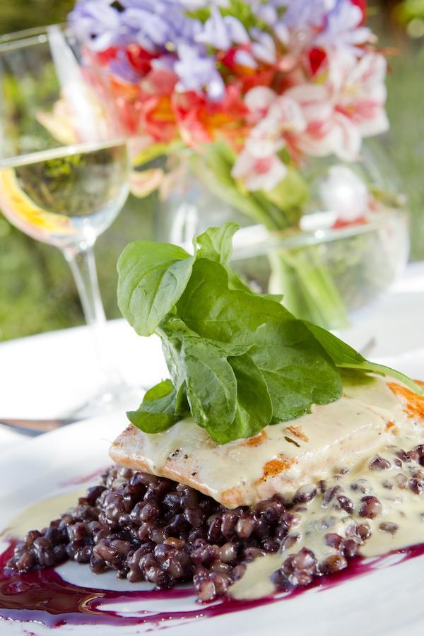 Termas De Jahuel Hotel & Spa Santa María 외부 사진